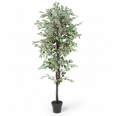Artificial Classic Variegated Ficus Tree - 4 ft (120 cm)